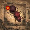 烧脑短剧 